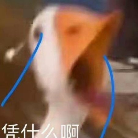 幼小衔接班名单公开，教育公平何在？