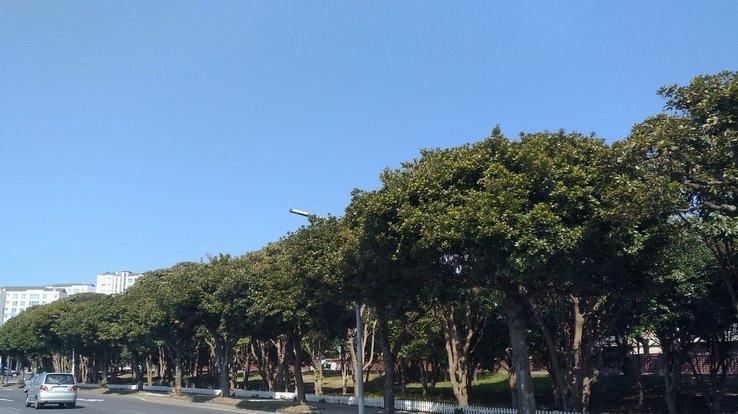 韩国队小组赛受挫，32强晋级