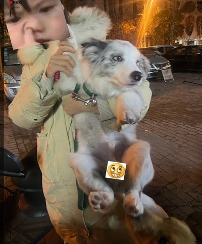 截图爱好者集体沉默的背后